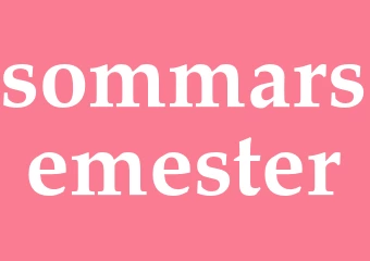 Synonym sommarsemester