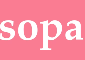 Synonym sopa