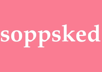 Synonym soppsked