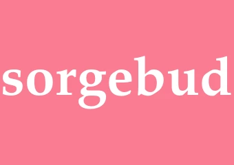Synonym sorgebud