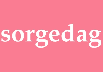 Synonym sorgedag