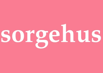 Synonym sorgehus