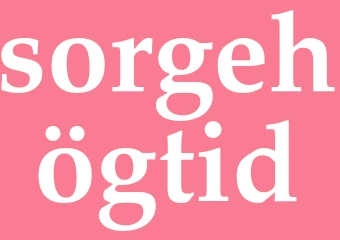 Synonym sorgehögtid