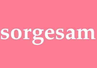 Synonym sorgesam