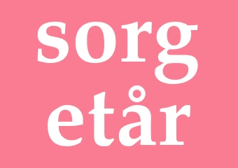 Synonym sorgetår