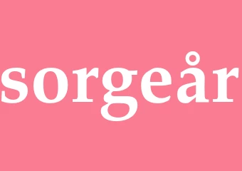 Synonym sorgeår