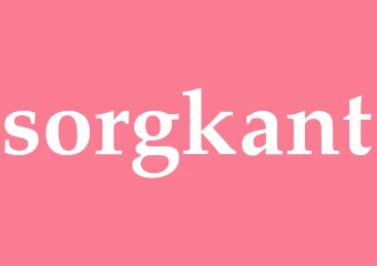Synonym sorgkant