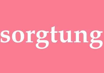 Synonym sorgtung
