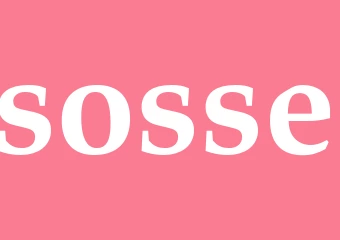 Synonym sosse
