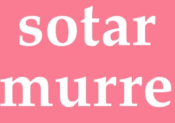 Synonym sotarmurre