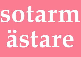 Synonym sotarmästare