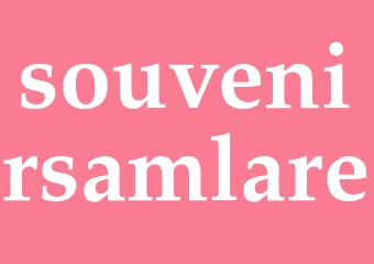 Synonym souvenirsamlare