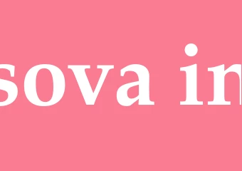 Synonym sova in