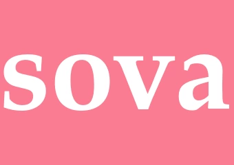 Synonym sova