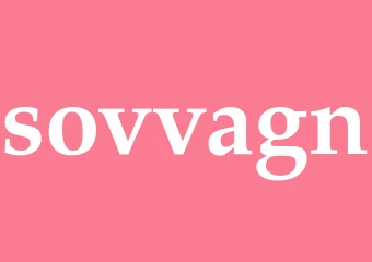 Synonym sovvagn