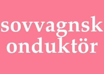Synonym sovvagnskonduktör