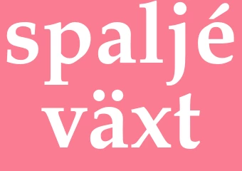 Synonym spaljéväxt