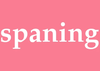 Synonym spaning