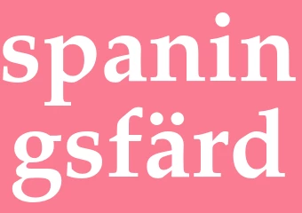 Synonym spaningsfärd