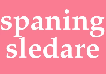 Synonym spaningsledare