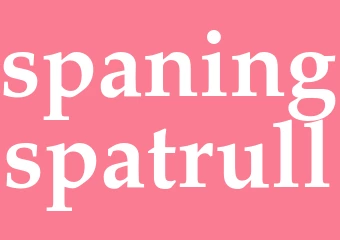 Synonym spaningspatrull