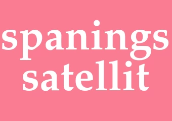 Synonym spaningssatellit