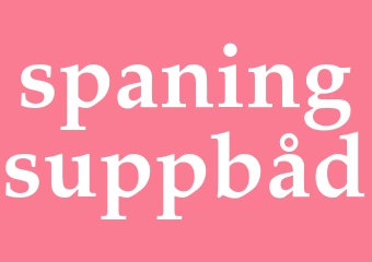 Synonym spaningsuppbåd