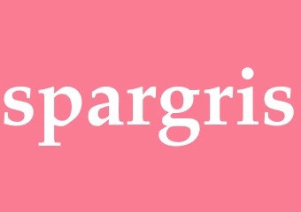 Synonym spargris
