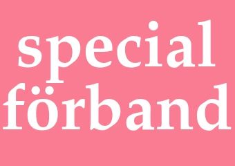 Synonym specialförband