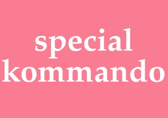 Synonym specialkommando