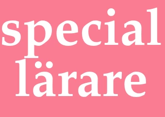 Synonym speciallärare