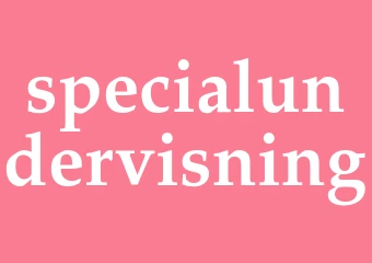 Synonym specialundervisning