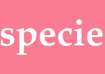 Synonym specie