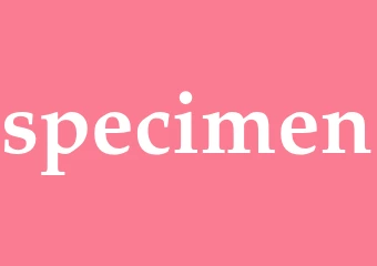 Synonym specimen