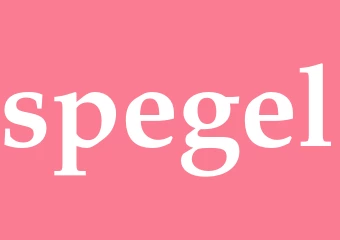 Synonym spegel