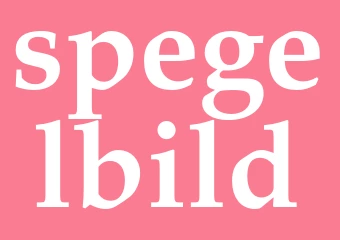 Synonym spegelbild