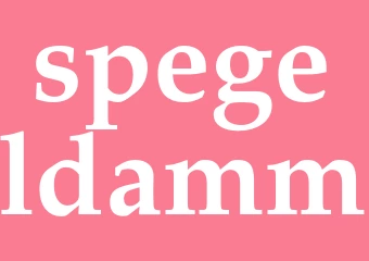 Synonym spegeldamm