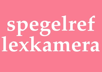 Synonym spegelreflexkamera