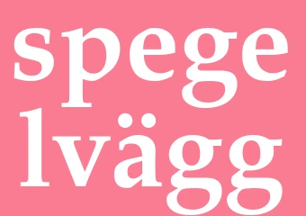 Synonym spegelvägg