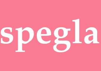 Synonym spegla