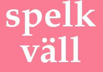 Synonym spelkväll