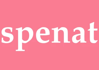 Synonym spenat