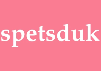 Synonym spetsduk
