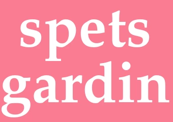Synonym spetsgardin