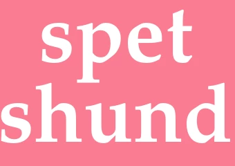 Synonym spetshund