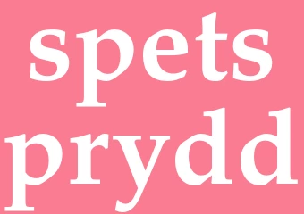 Synonym spetsprydd