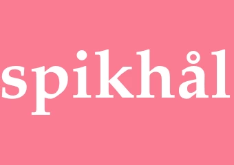 Synonym spikhål