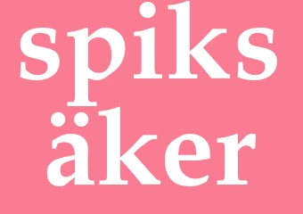 Synonym spiksäker