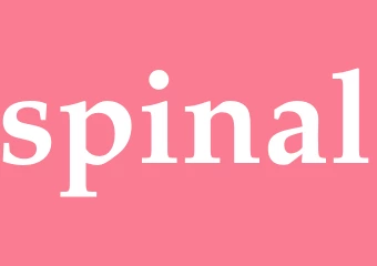 Synonym spinal
