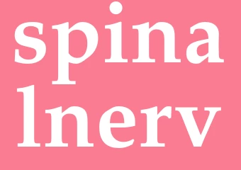 Synonym spinalnerv